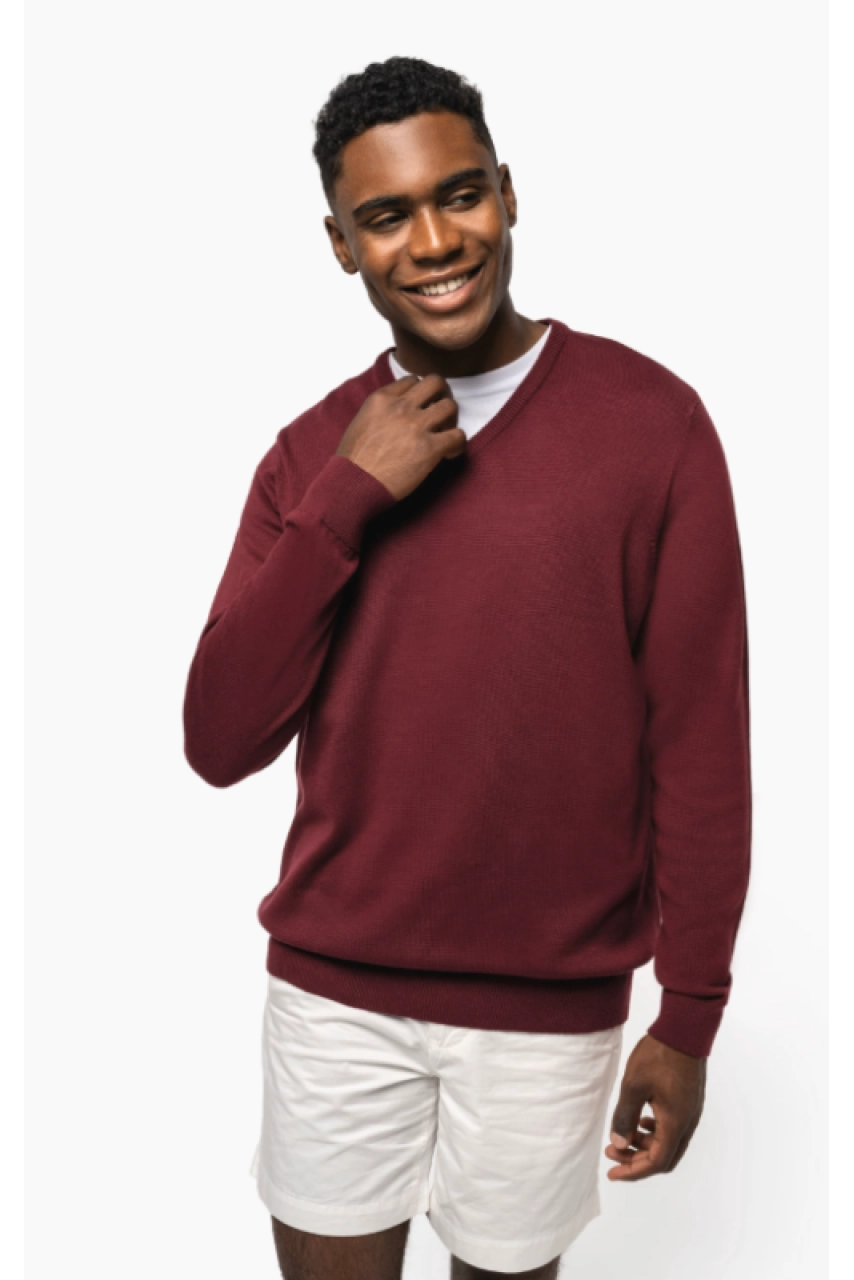 Pull col V homme